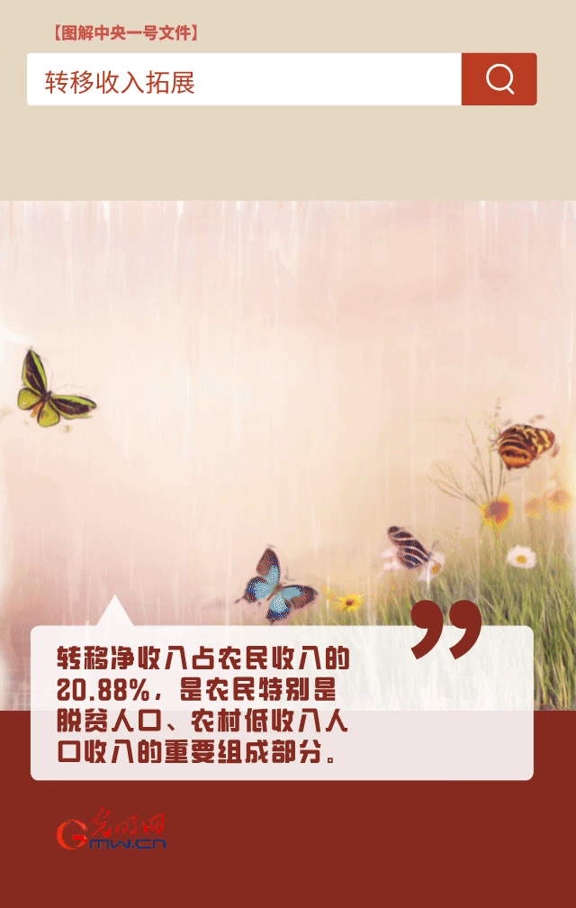【圖解中央一號文件】“動”漫海報丨今年如何讓農(nóng)民的“錢袋子”鼓起來？