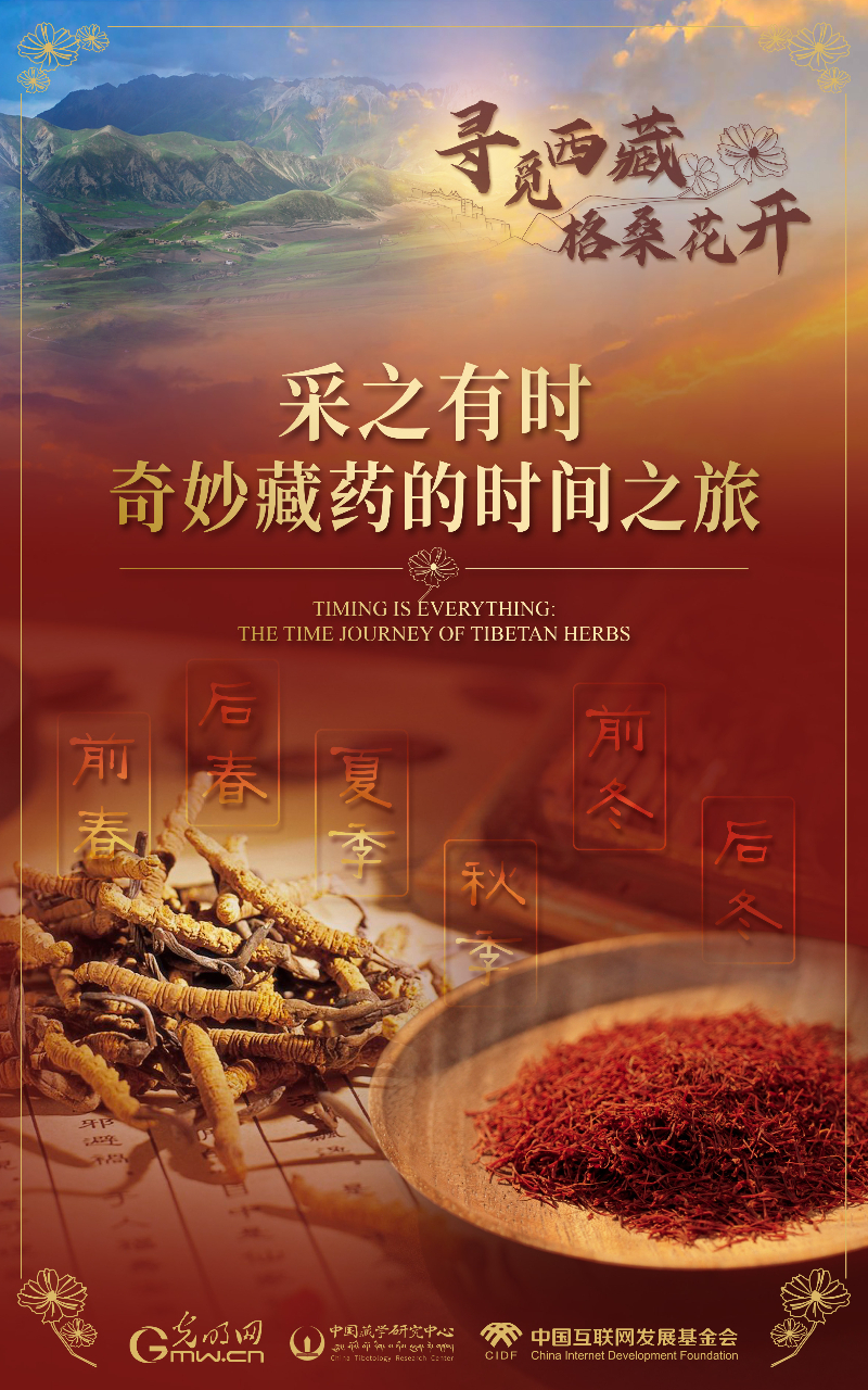 【尋覓西藏·格?；ㄩ_】采之有時(shí)：奇妙藏藥的時(shí)間之旅