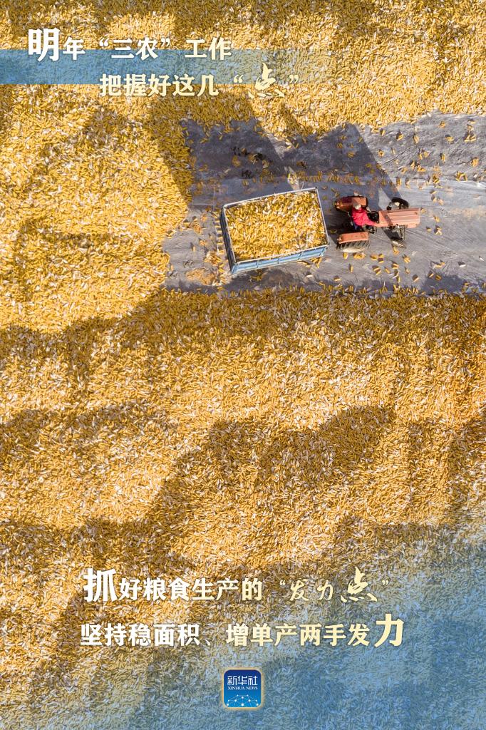 明年“三農(nóng)”工作，這幾個“點”要把握好