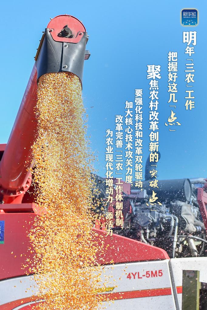 明年“三農(nóng)”工作，這幾個“點”要把握好