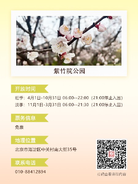 追花指南第六期！杏花雨 楊柳風 北京最美的杏花在這里