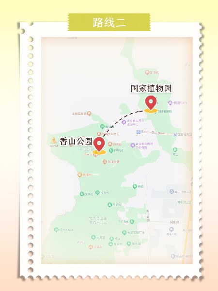 追花指南第六期！杏花雨 楊柳風 北京最美的杏花在這里