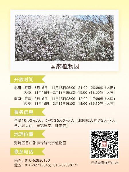 追花指南第六期！杏花雨 楊柳風 北京最美的杏花在這里