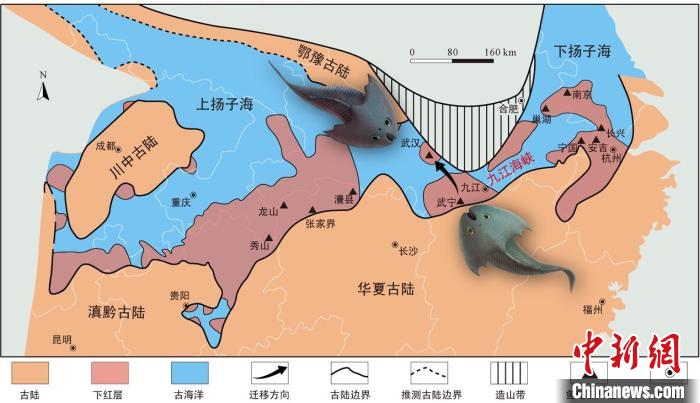 華南地區(qū)志留紀早期古地理圖和盔甲魚類化石產地(山顯任改自陳旭、戎嘉余，1996；戎嘉余等，2012) 中科院古脊椎所 供圖
