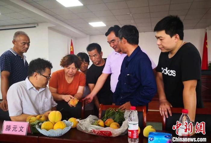 民進浙江省委會為三里橋黃桃種植戶送技術(shù)、送指導?！〖紊平y(tǒng)戰(zhàn) 供圖