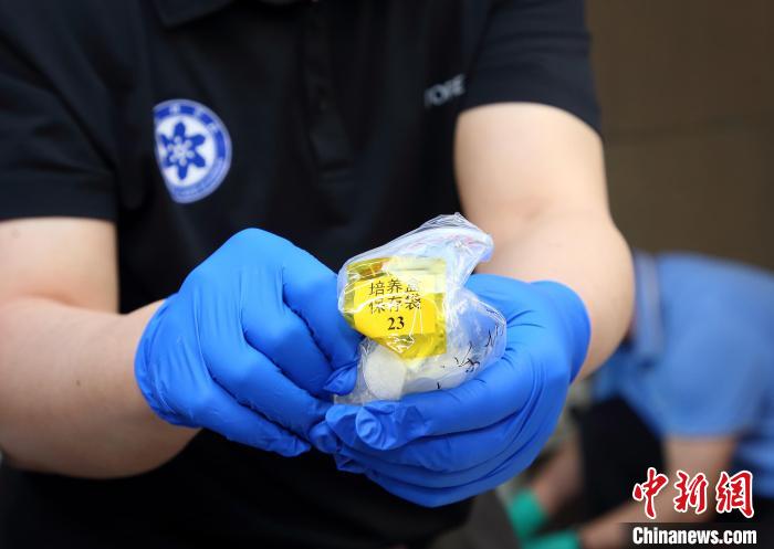 隨神舟十五號返回地面的空間科學(xué)實驗樣品?！≈锌圃嚎臻g應(yīng)用中心 供圖