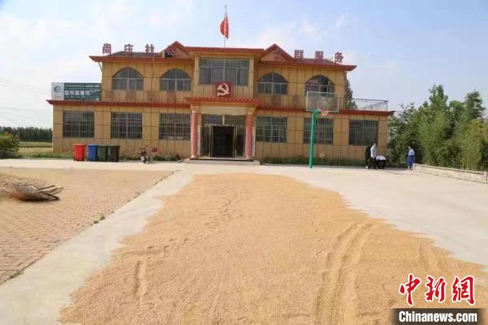 農(nóng)民在邳莊鎮(zhèn)尚莊村黨群服務(wù)中心大院里曬糧?！≠Z萌 攝