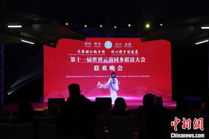 圖為第十一屆世界云南同鄉(xiāng)聯(lián)誼大會舉辦聯(lián)歡晚會。　崔永江 攝