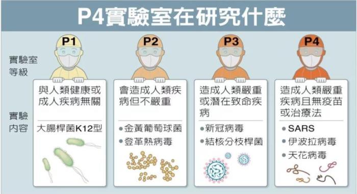 P4實(shí)驗(yàn)室在研究什么。臺灣聯(lián)合新聞網(wǎng)資料圖