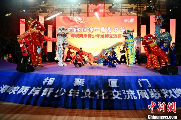 兩岸青少年同臺(tái)呈現(xiàn)龍獅表演。　王東明 攝