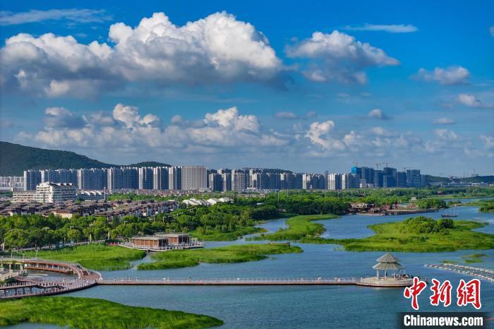 資料圖：航拍蘇州太湖湖濱國家濕地公園，藍天碧水生態(tài)美。 泱波 攝