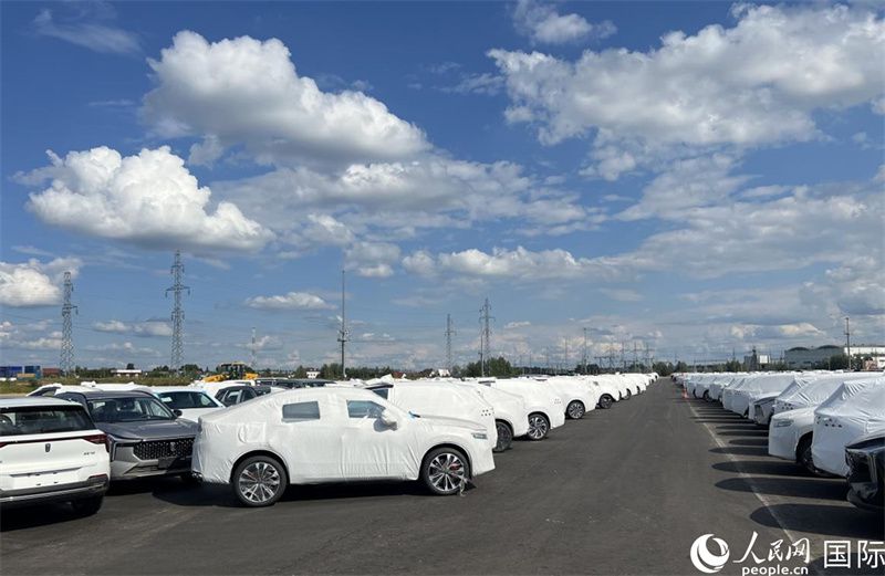 莫斯科別雷拉斯特物流中心內(nèi)的中國(guó)品牌汽車(chē)。人民網(wǎng)記者 申佳平攝