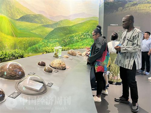   （在中國藥都中醫(yī)藥博物館，外媒記者了解中醫(yī)藥發(fā)展史。中國經(jīng)濟周刊記者 郭志強 攝）