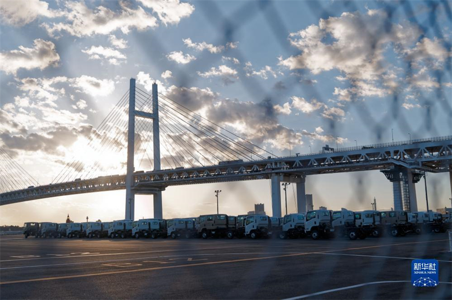 這是11月14日在日本橫濱拍攝的進出口汽車集散場地。新華社記者 張笑宇 攝
