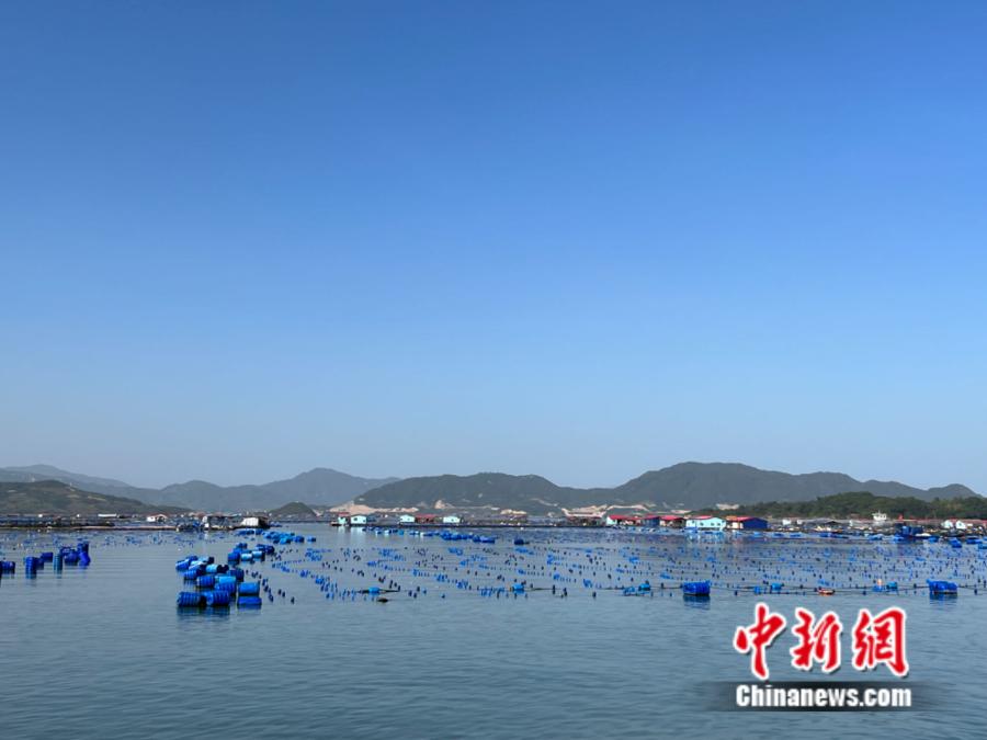 霞浦縣海上魚排。<a target='_blank' href='/' ><p  align=