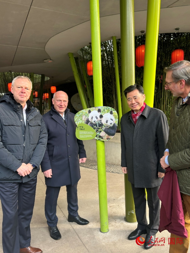 中國(guó)駐德國(guó)大使吳懇（右二）、柏林市長(zhǎng)韋格納（左二）、動(dòng)物園園長(zhǎng)克尼里姆（右一）和監(jiān)事會(huì)主席布魯克曼（左一）共同為“夢(mèng)想”“夢(mèng)圓”大熊貓紀(jì)念牌揭幕。人民網(wǎng)記者 徐馨攝