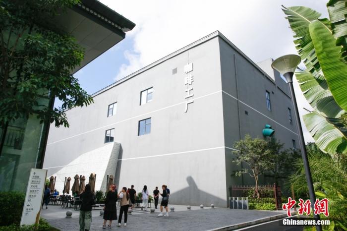 圖為采訪團一行參觀咖啡工廠。 曹淼欣 攝