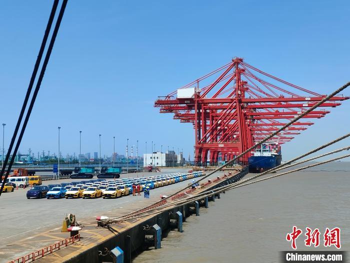 資料圖：國產(chǎn)新能源車在上海外高橋港區(qū)海通碼頭“整裝待發(fā)”?！∑址?攝