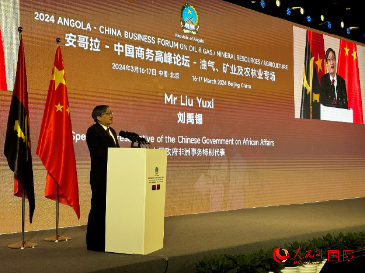 中國政府非洲事務(wù)特別代表劉禹錫。人民網(wǎng)記者 張榮攝