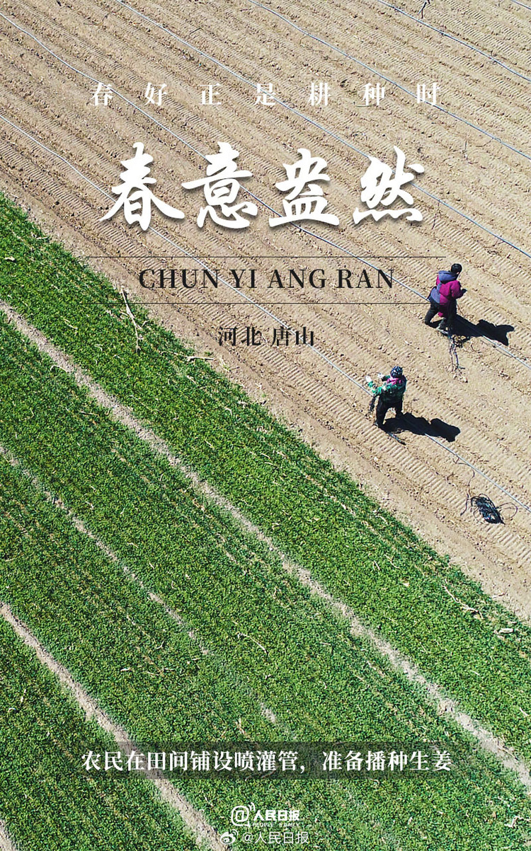 生機(jī)盎然！用課本封面打開春耕畫卷
