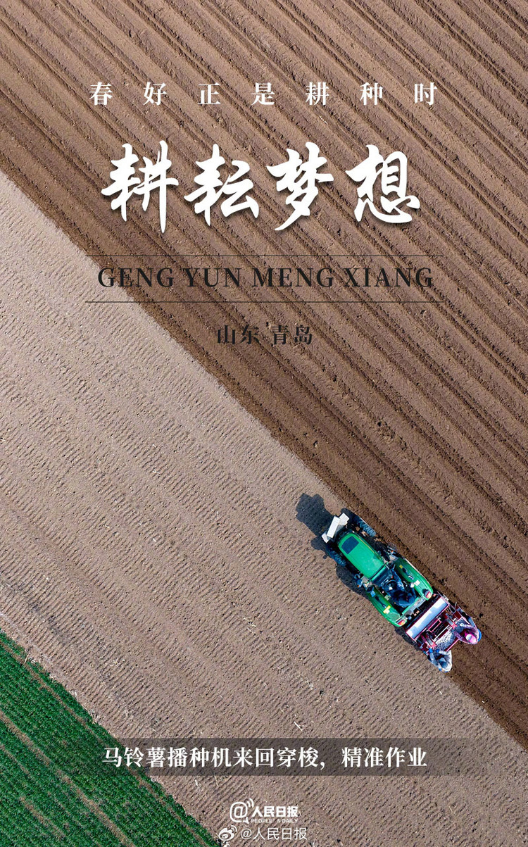 生機(jī)盎然！用課本封面打開春耕畫卷