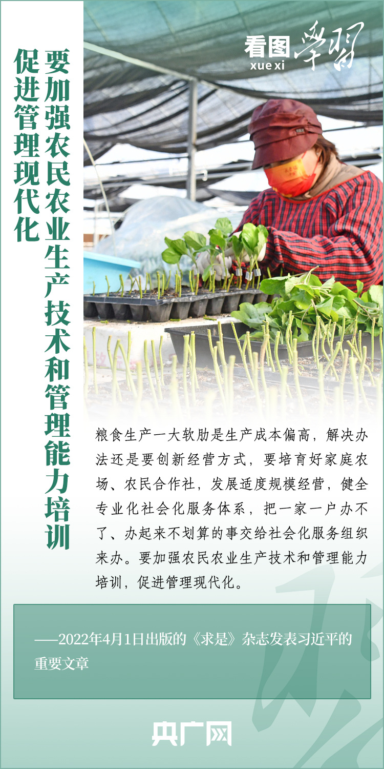 看圖學(xué)習(xí)丨推廣良田、良種、良法、良機(jī) 給農(nóng)業(yè)現(xiàn)代化插上科技的翅膀