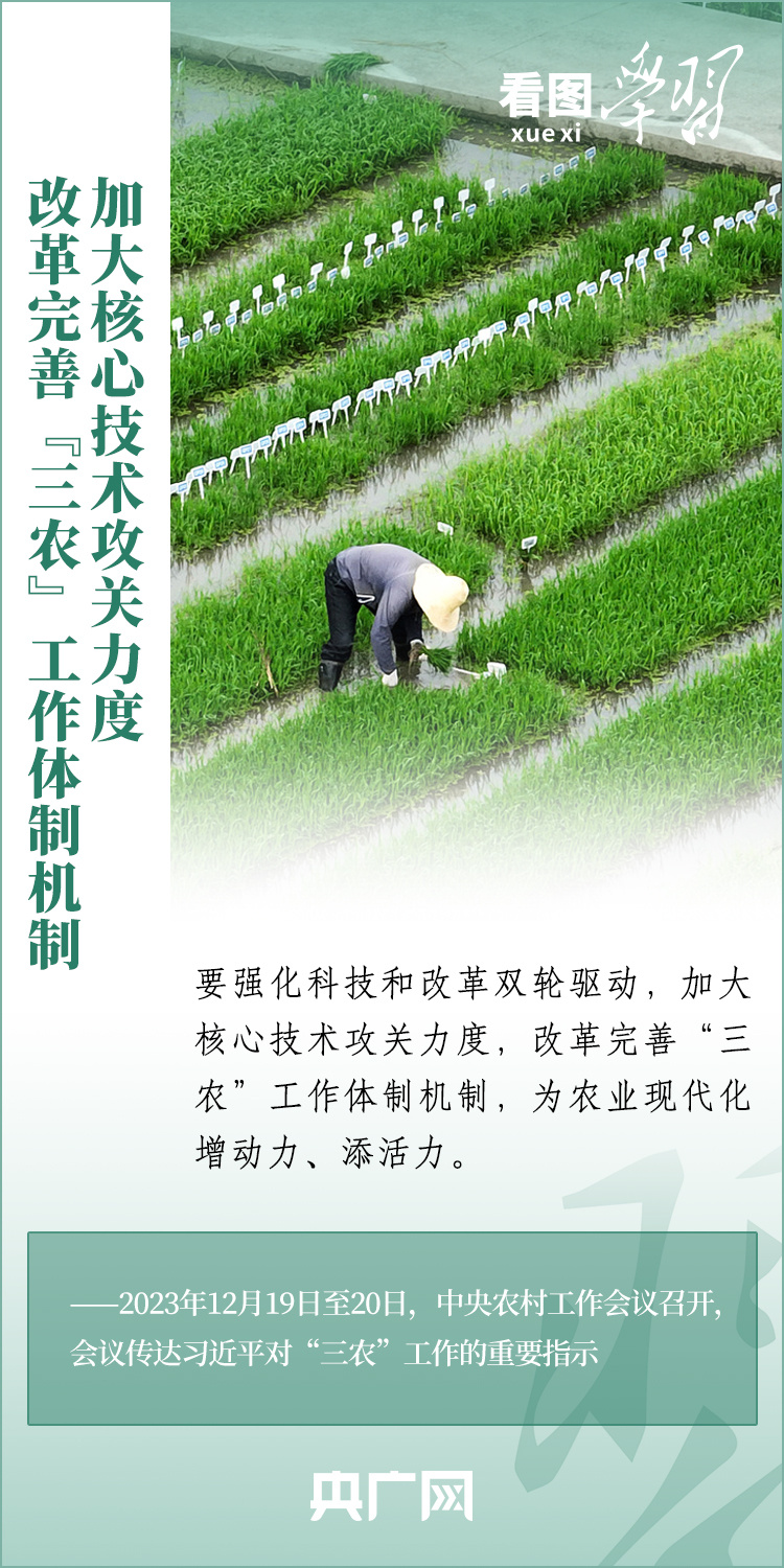 看圖學(xué)習(xí)丨推廣良田、良種、良法、良機(jī) 給農(nóng)業(yè)現(xiàn)代化插上科技的翅膀