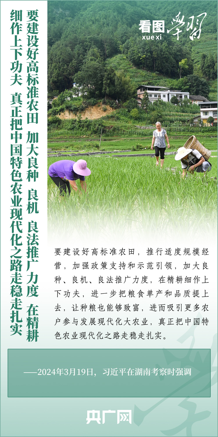 看圖學(xué)習(xí)丨推廣良田、良種、良法、良機(jī) 給農(nóng)業(yè)現(xiàn)代化插上科技的翅膀