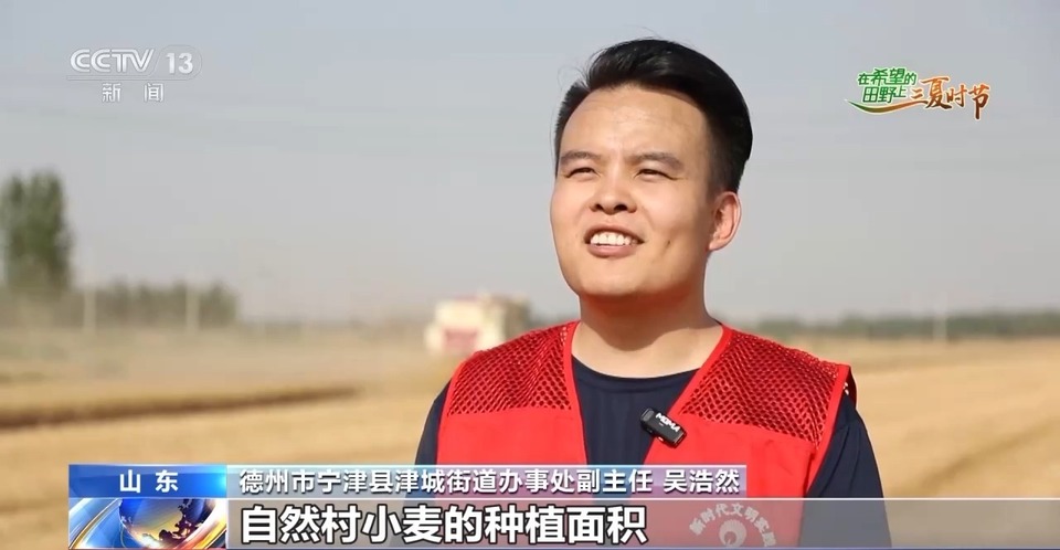 “三夏”生產(chǎn)思維導(dǎo)圖安排上了！還有政府大院等你來“曬”