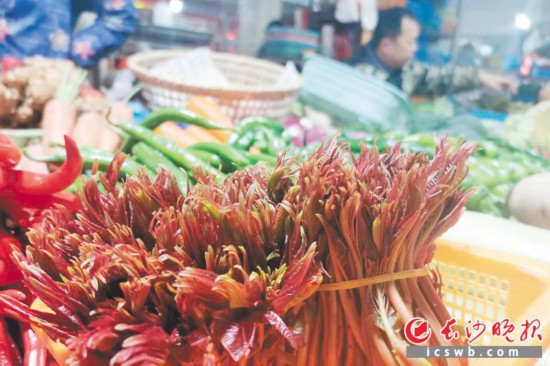 　　農(nóng)貿(mào)市場里鮮嫩的香椿?！　【鶠殚L沙晚報全媒體記者 劉捷萍 攝