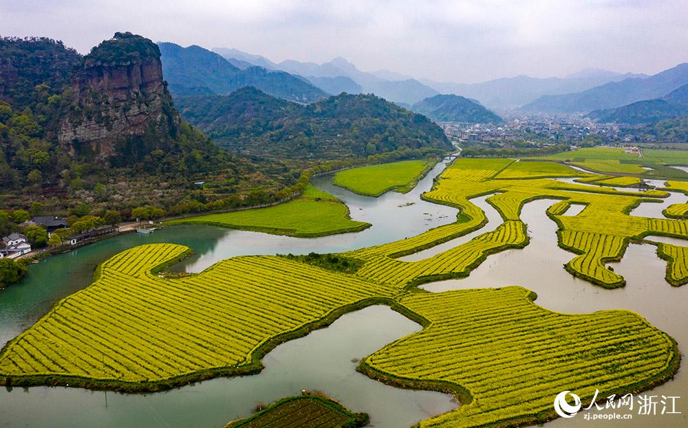 3月28日，航拍浙江省臨海市桃渚鎮(zhèn)桃江十三渚盛開的油菜花景色。人民網(wǎng) 章勇濤攝