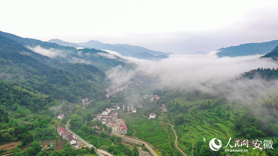 雨后的金寨大灣村，云霧環(huán)繞，宛如一幅田園山水畫卷。人民網(wǎng) 張俊攝