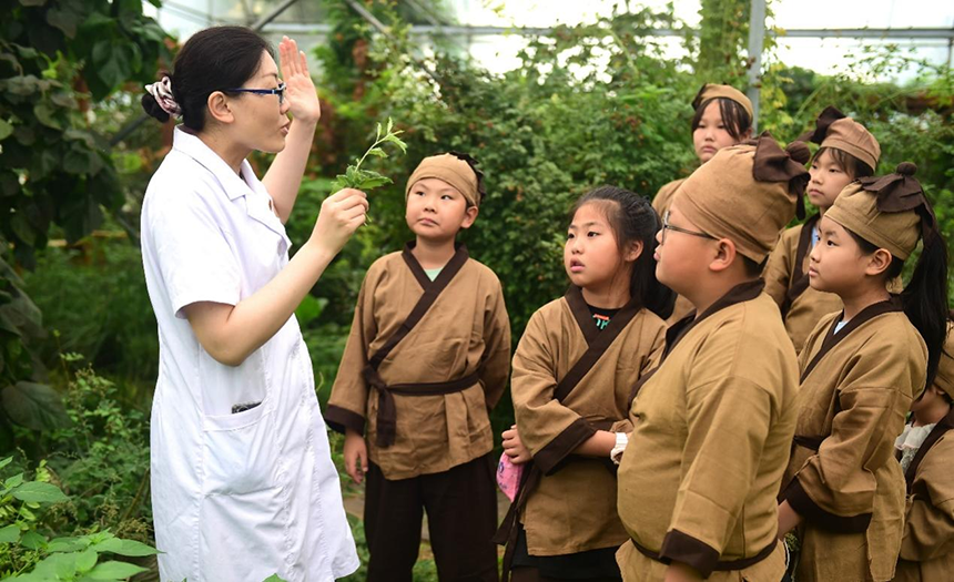 參加活動(dòng)的孩子聆聽(tīng)滄州市人民醫(yī)院國(guó)醫(yī)館中醫(yī)對(duì)中藥材的講解。 傅新春攝