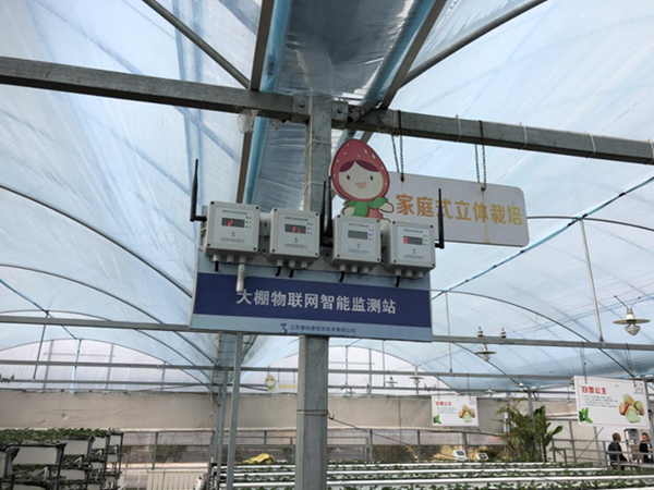 都市四季果園內(nèi)的物聯(lián)網(wǎng)智能監(jiān)測(cè)站系統(tǒng)。東海縣委宣傳部供圖