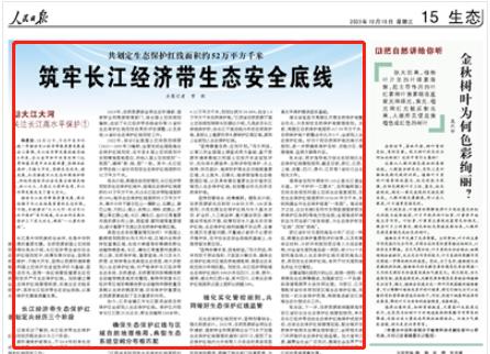 人民日報。截圖