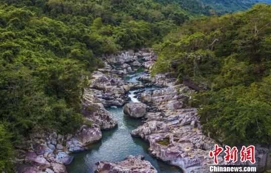 2018年海南生態(tài)環(huán)境狀況等級為“優(yōu)”，植被覆蓋率高，生物多樣性豐富，生態(tài)系統(tǒng)穩(wěn)定，圖為海南中部熱帶雨林?！●樤骑w　攝