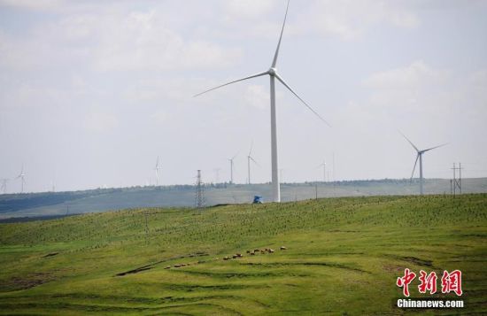 6月28日，河北張家口張北草原上大片風(fēng)力發(fā)電的“風(fēng)車”規(guī)模宏大。 中新社記者 楊艷敏 攝
