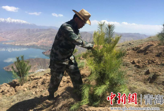 圖為尖扎干部職工生態(tài)建設(shè)和環(huán)境保護(hù)現(xiàn)場(chǎng)。尖宣 供圖