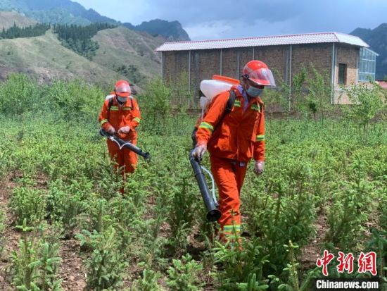 圖為觀摩會現(xiàn)場背負(fù)式電動噴霧演練。　李江寧　攝 　　