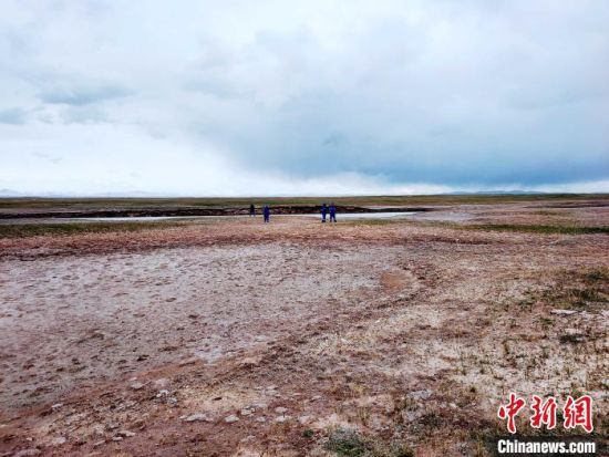 圖為救援力量在青海省西部搜救失聯(lián)的江蘇南京某大學(xué)女生黃某某。海西州藍天應(yīng)急救援中心 供圖