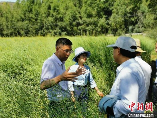 圖為九三學社青海省委主委杜德志(左一)在基層調(diào)研。受訪者供圖