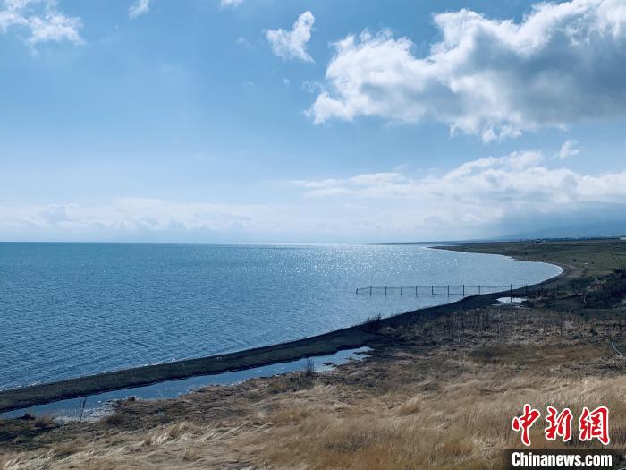 圖為青海湖畔。(資料圖) 張傲 攝