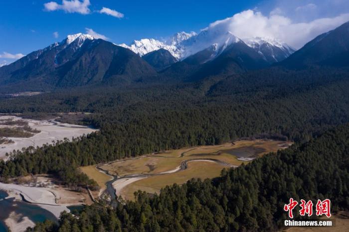 資料圖：西藏崗云杉林與遠處的雪峰。 何蓬磊 攝