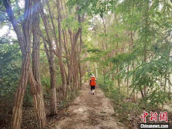 戈壁灘上的護(hù)林員：以前風(fēng)吹睜不開眼，現(xiàn)在滿眼皆綠色