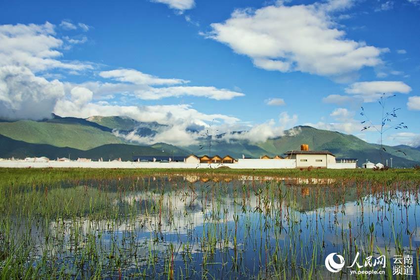 納帕海濕地風(fēng)景。呂昊辰攝
