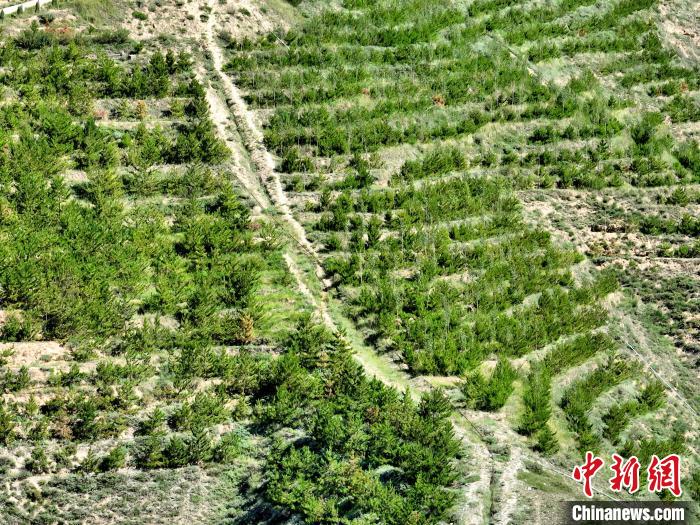 航拍建行青海省分行綠化區(qū)?！∑钤鲚?攝