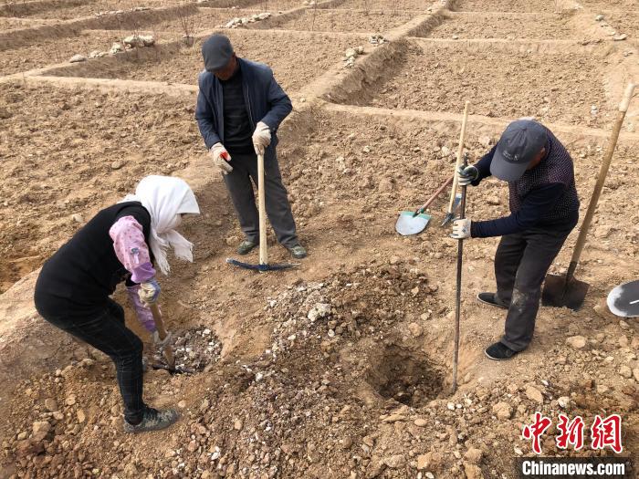 資料圖為建行青海省分行綠化區(qū)施工隊隊員處理亂石?！〗ㄐ星嗪Ｊ》中泄﹫D