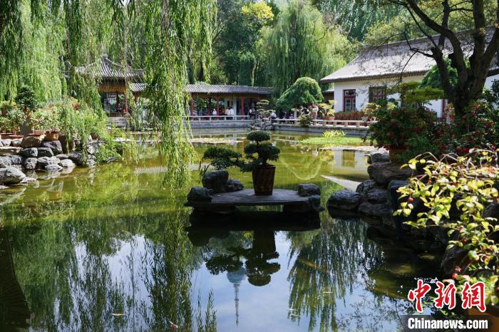 圖為西寧園林植物園秋日風(fēng)景別有韻味?！●R銘言 攝
