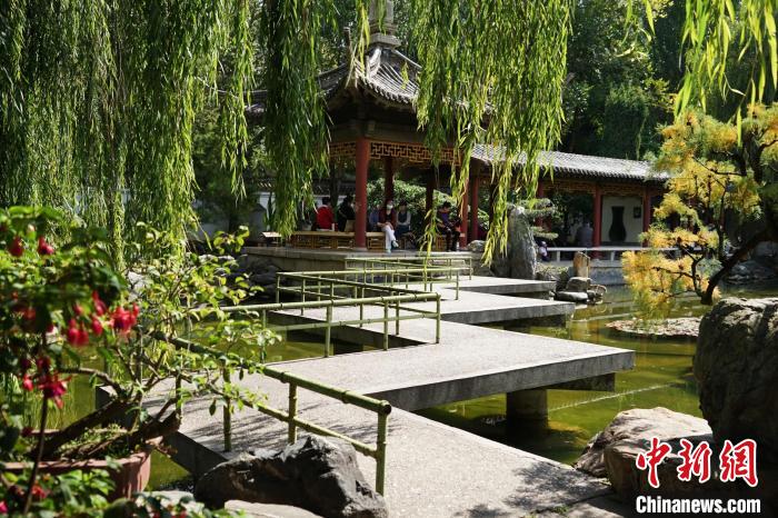 圖為西寧園林植物園秋日風(fēng)景別有韻味。　馬銘言 攝
