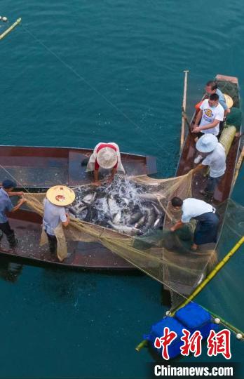 捕魚現(xiàn)場?！≈鬓k方供圖